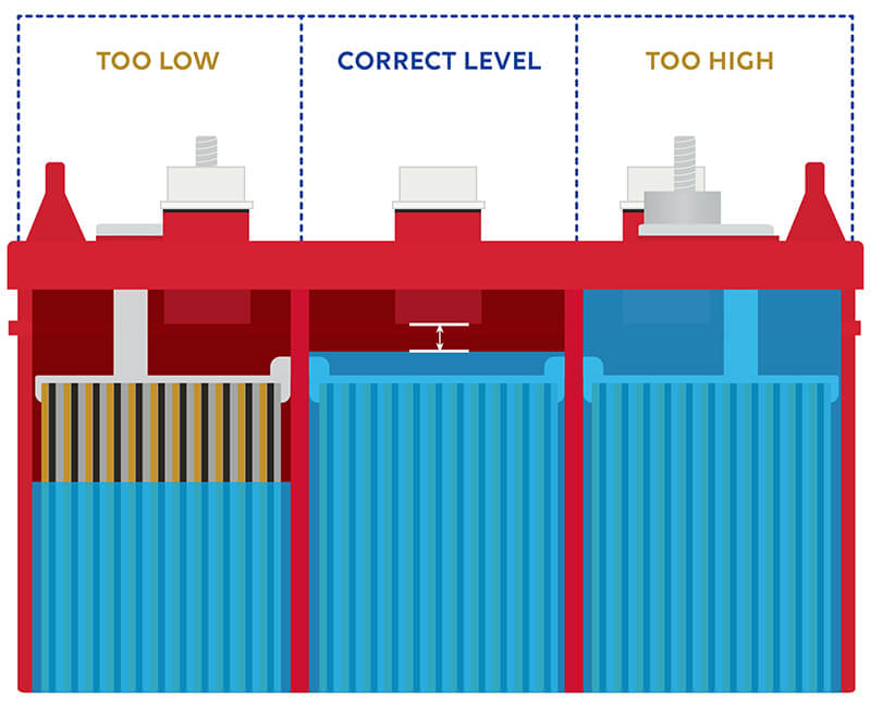 Electrolyte Level Graphic